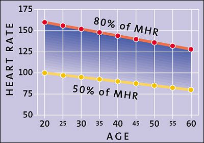 Mhr Chart