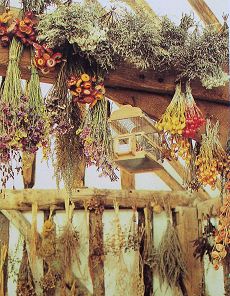 Air Drying Flowers