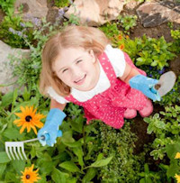 Identify the Common Herbs Growing in Your Backyard