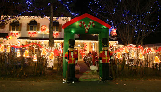 Ideas for Decorate Your Lawn for Christmas