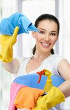 House Cleaning Tips