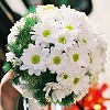 White Daisy Wedding Bouquet