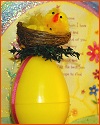 Easter Egg with Nest