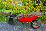 Preparing Your Garden for Winter - A Fall Checklist