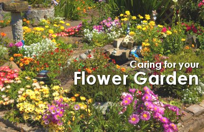 Easy Tips for Caring for Your Flower Garden