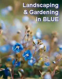 Tips on Landscaping and Gardening in Blue