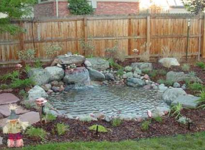 Tips For Building A Garden Pond