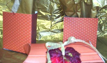 diy thanksgiving gift boxes