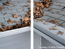 Summer Chores that Will Protect Your Home from Pests