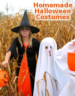 Homemade Halloween Costumes - Ideas and Inspirations