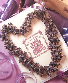 Lavender Crafts - Lavender Heart Card