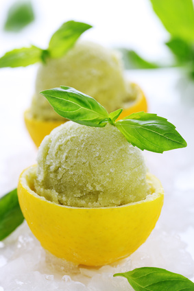 Lemon Basil Sorbet - Summer Recipe