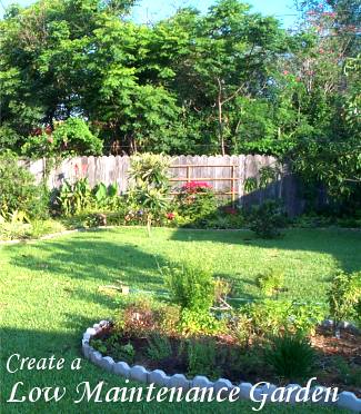 Create a Low Maintenance Garden