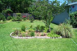 Step-by-step guide to creating a Garden that requires low maintenance