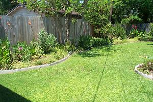 Step-by-step guide to creating a Low Maintenance Garden