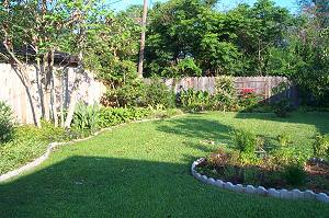 A Low Maintenance Garden