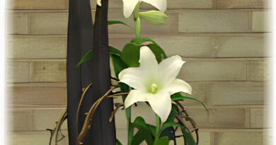 Simple and Elegant Madonna Lilies Flower Arrangement for Easter