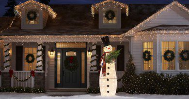 Christmas Light Sculptures