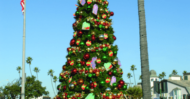 Outdoor Christmas Trees - Ideas for Display and Decor