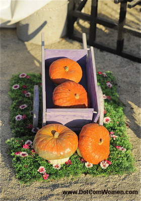 Outdoor Fall Yard Decorations with Pumpkins