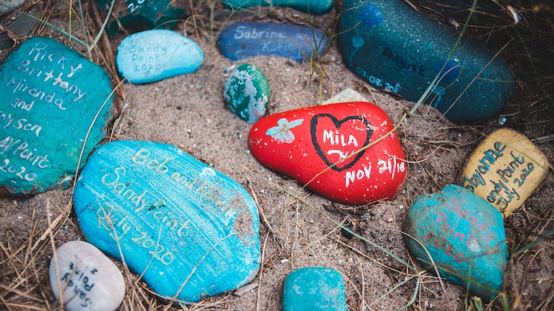 Painting Rocks for Summer Fun