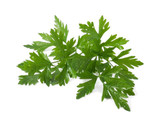 Parsley