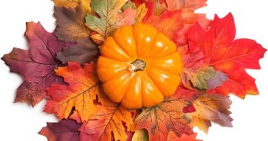 Pumpkin and Fall Leaves Centerpiece for Thanksgiving