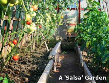 A Salsa Garden - Themed Vegetable Garden Idea