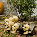 Outdoor Halloween Decoration with Skulls and Eye-Balls