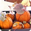 Styrofoam Pumpkins Thanksgiving Table Centerpiece