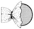 Cover with fabric