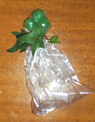 Three Leaf Clover Treat