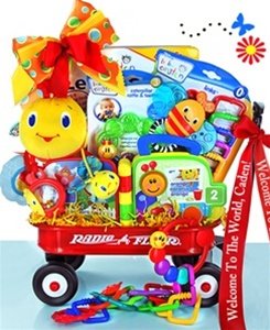 Gift Basket filled with Developmental Toys from Baby Einstein