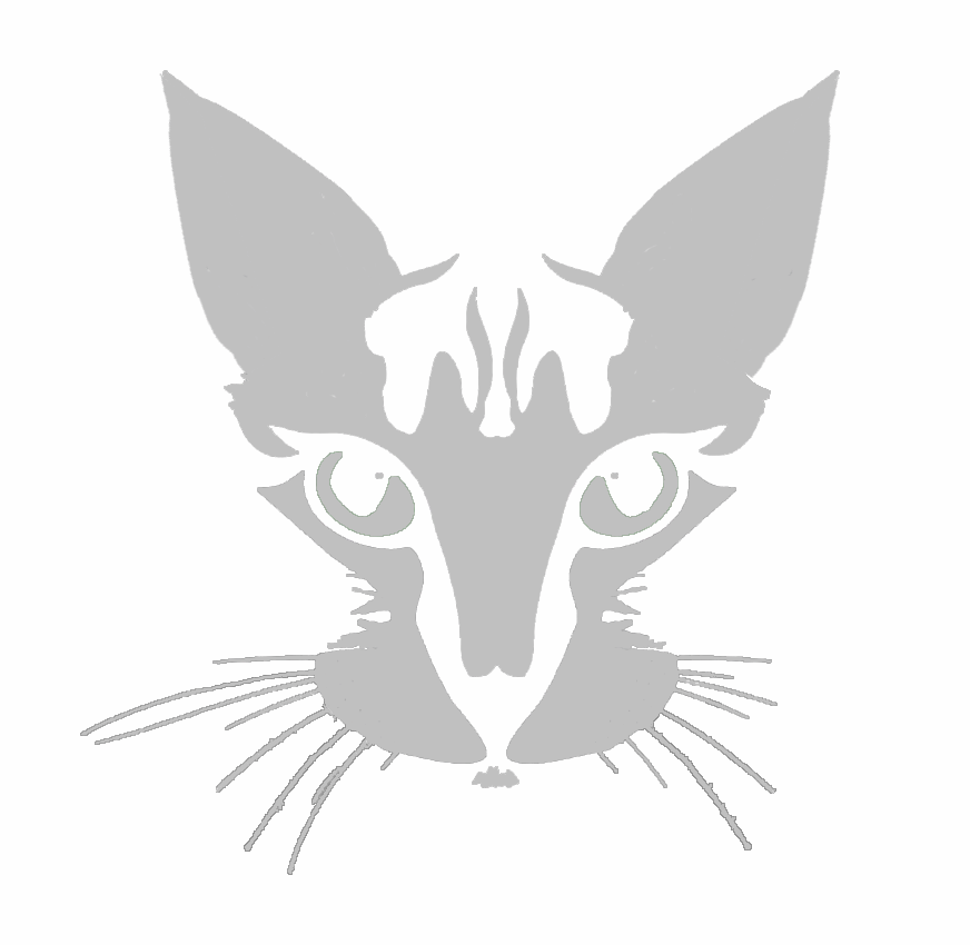 halloween-cat-face-pumpkin-carving-stencil-dot-com-women