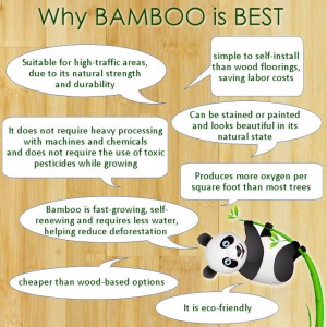 Benefits of Bamboo for Home Decorating