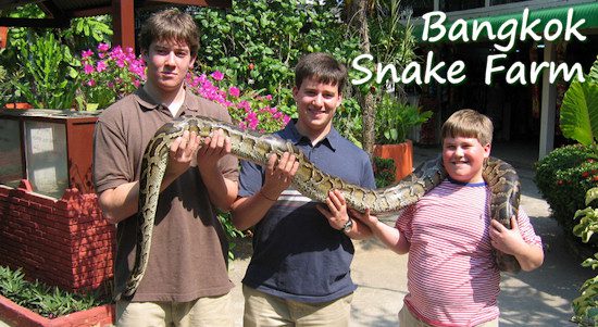 Bangkok Snake Farm