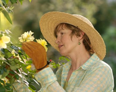 Gardening