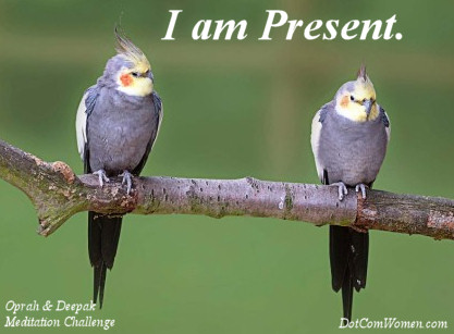 I am present. - Oprah & Deepak Meditation Challenge Day 13