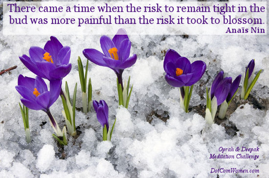 Risk  to blossom - saying by Anaïs Nin