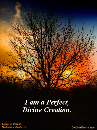 I am a Perfect, Divine Creation - Self Esteem - Oprah & Deepak Meditation Challenge Day 5