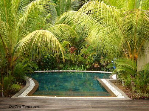 Deck with Pool