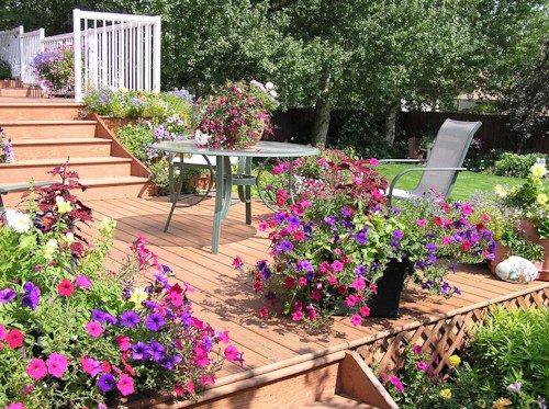 A deck or patio is an essential feature in your landscape's look.