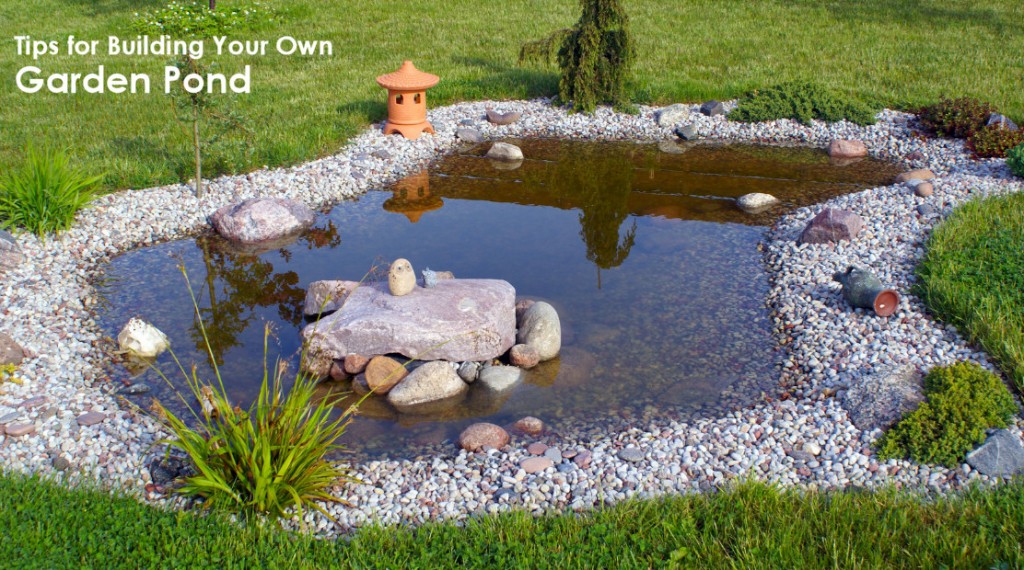Tips for Building Your Own Pond