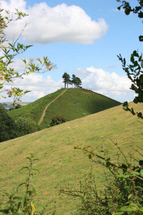 Colmer's Hill, Dorset