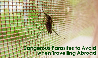 Dangerous Parasites to Avoid when Travelling Abroad