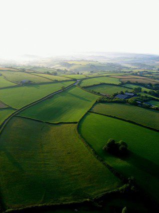 Devon Countryside