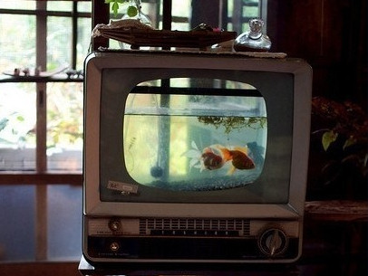 old TV turned into an aquarium