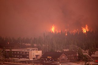 The Yellowstone Fires of 1988