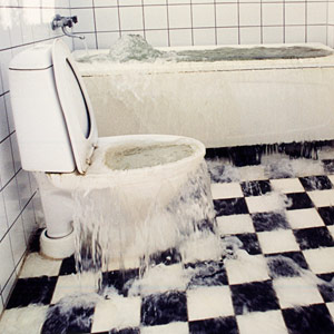 Toilet Overflow - 7 Most Annoying Bathroom Problems