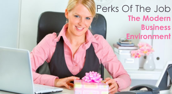 Perks Of The Job - The Modern Business Environment